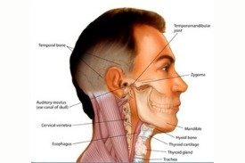 Head & Neck Cancer Surgery