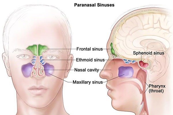 Sinus Surgery
